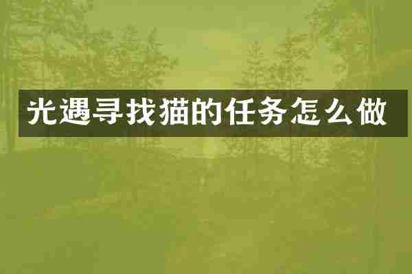 光遇寻找猫的任务怎么做