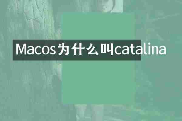 Macos为什么叫catalina