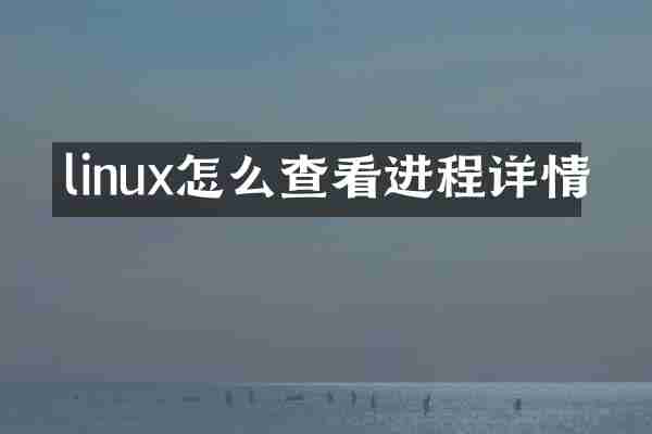 linux怎么查看进程详情