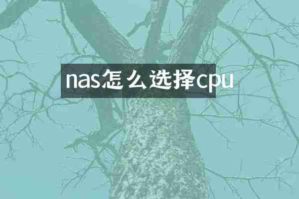 nas怎么选择cpu