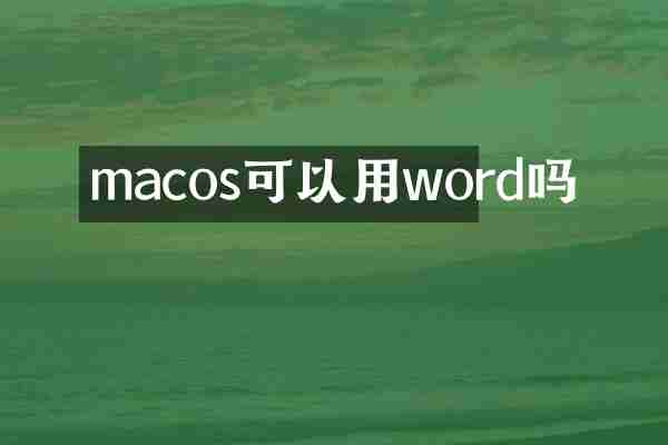 macos可以用word吗