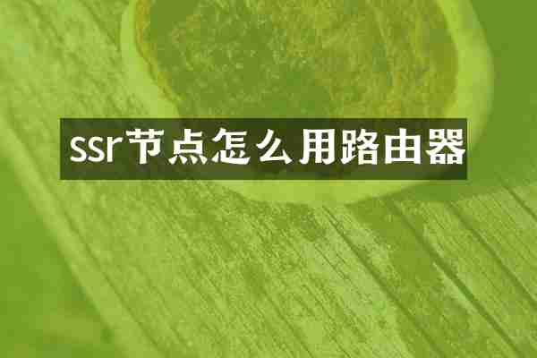 ssr节点怎么用路由器