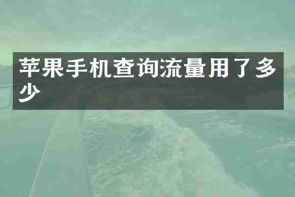 苹果手机查询流量用了多少