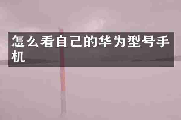 怎么看自己的华为型号手机