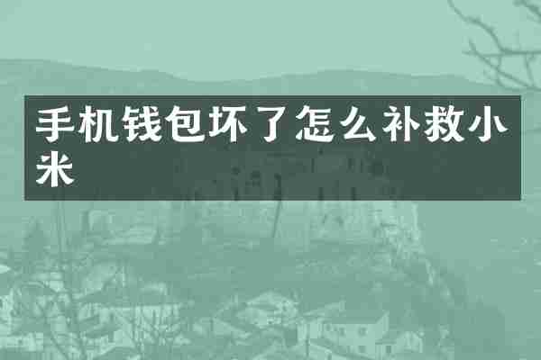 手机钱包坏了怎么补救小米