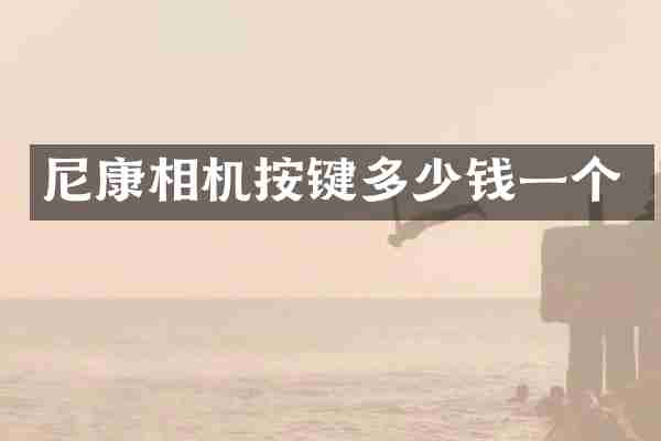 尼康相机按键多少钱一个