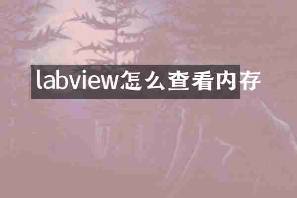 labview怎么查看内存