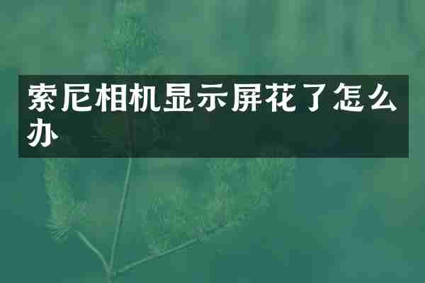 相机显示屏花了怎么办