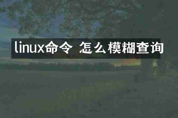 linux命令 怎么模糊查询