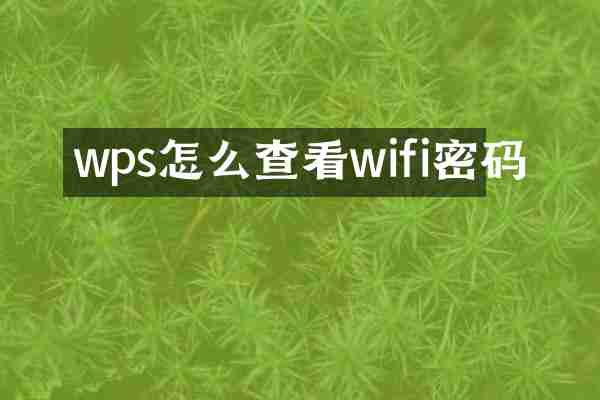 wps怎么查看wifi密码