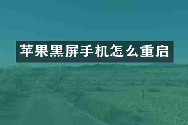苹果黑屏手机怎么重启