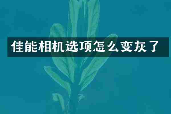 佳能相机选项怎么变灰了