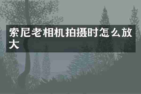 老相机拍摄时怎么放大
