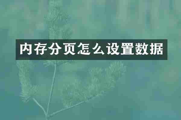 内存分页怎么设置数据
