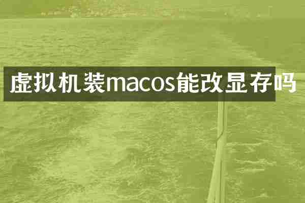 虚拟机装macos能改显存吗