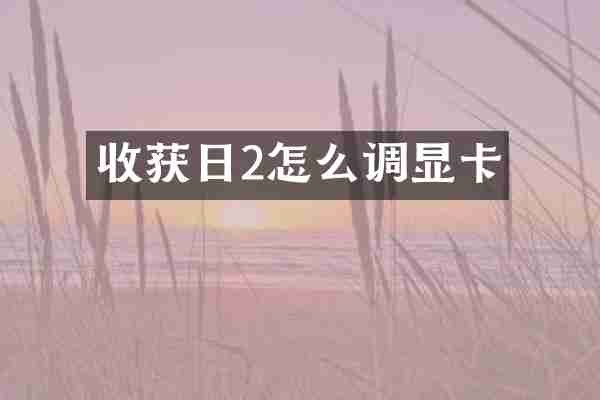 收获日2怎么调显卡