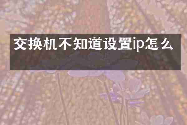 交换机不知道设置ip怎么办