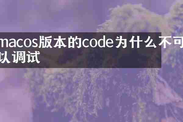 macos版本的code为什么不可以调试
