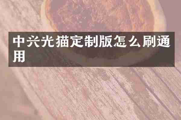 中兴光猫定制版怎么刷通用