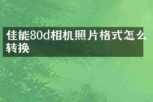 佳能80d相机照片格式怎么转换