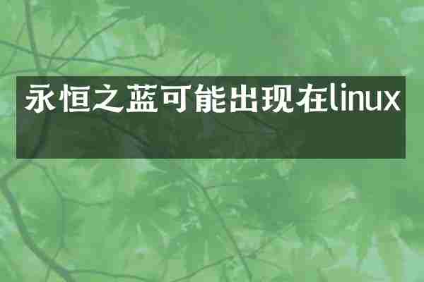 永恒之蓝可能出现在linux吗