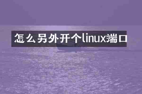 怎么另外开个linux端口