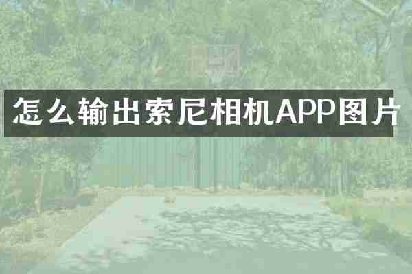 怎么输出相机APP图片