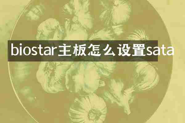biostar主板怎么设置sata