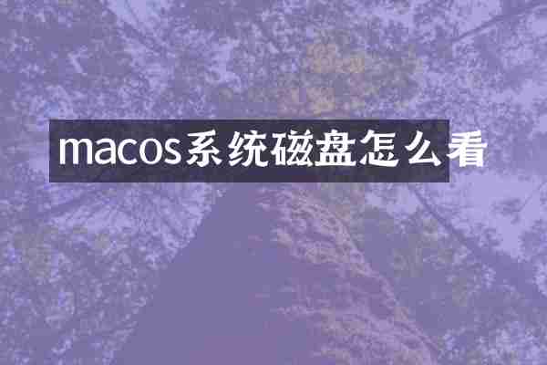 macos系统磁盘怎么看