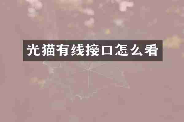 光猫有线接口怎么看