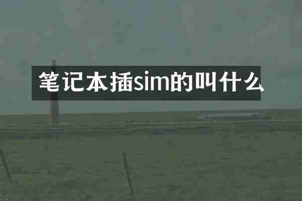 笔记本插sim的叫什么