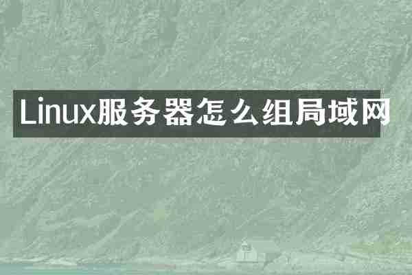 Linux服务器怎么组局域网