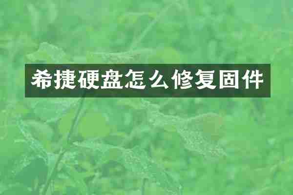 希捷硬盘怎么修复固件