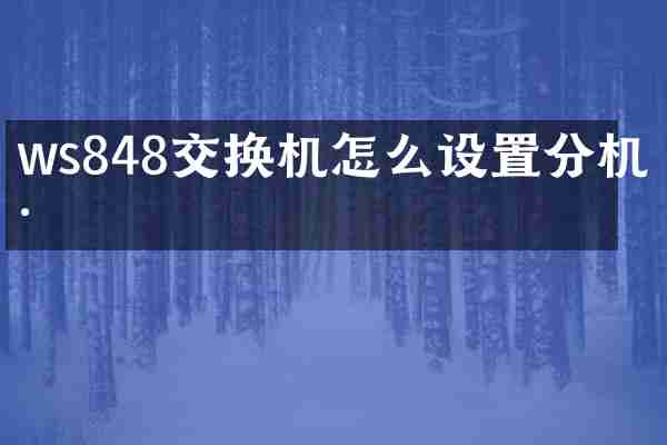 ws848交换机怎么设置分机号
