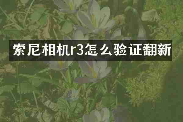 相机r3怎么验证翻新