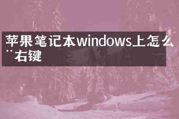 苹果笔记本windows上怎么用右键