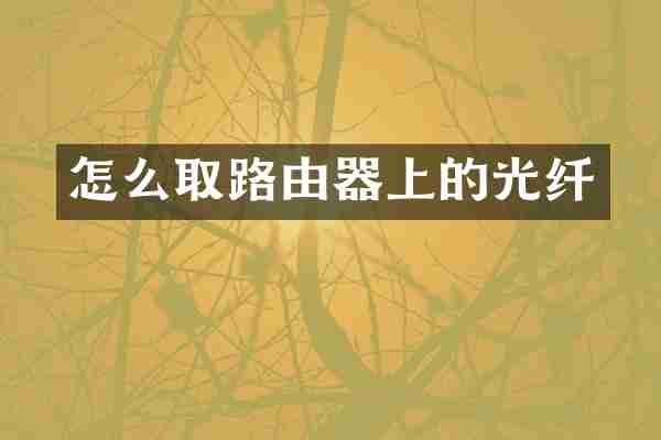 怎么取路由器上的光纤