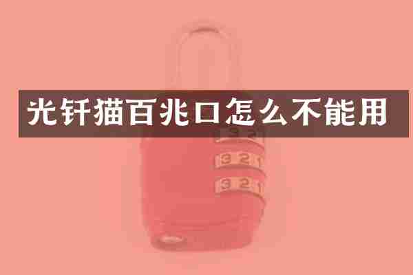 光钎猫百兆口怎么不能用