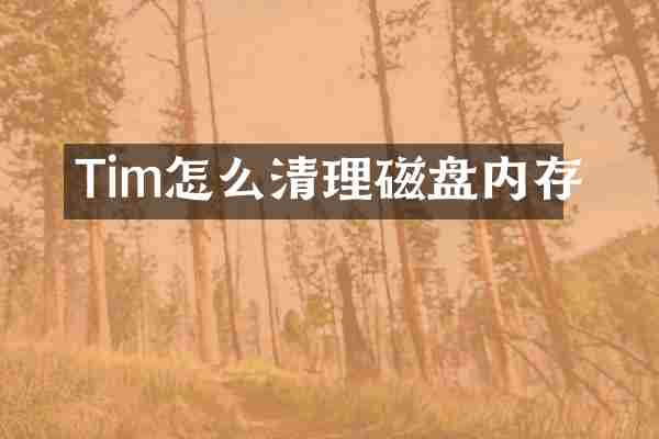 Tim怎么清理磁盘内存