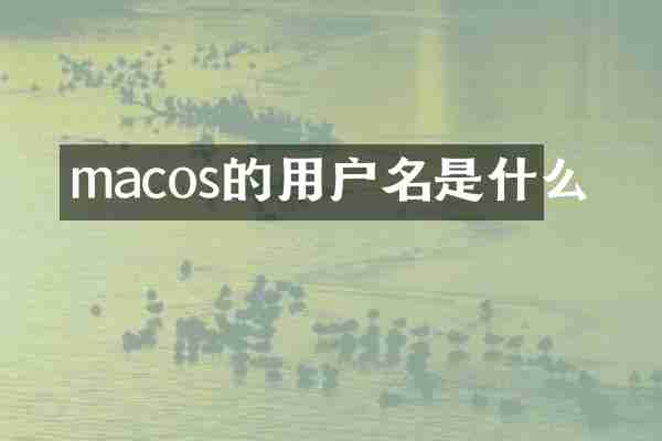 macos的用户名是什么