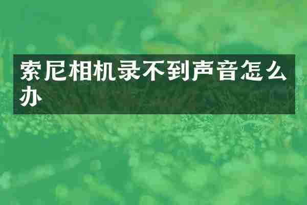 相机录不到声音怎么办