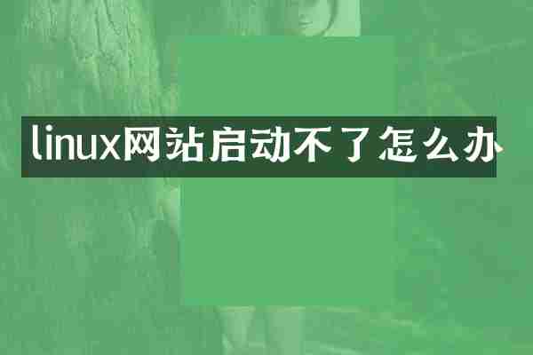 linux网站启动不了怎么办
