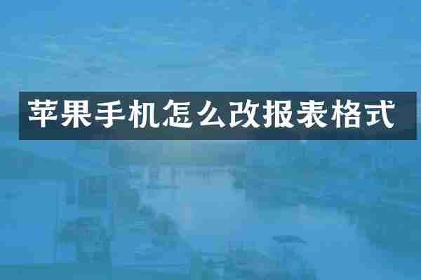 苹果手机怎么改报表格式