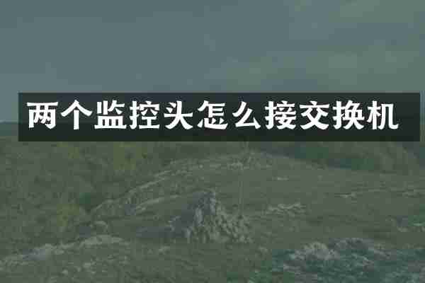 两个监控头怎么接交换机