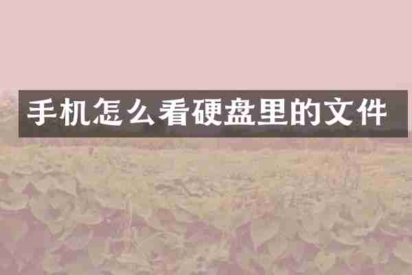 手机怎么看硬盘里的文件