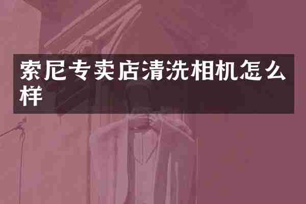 专卖店清洗相机怎么样