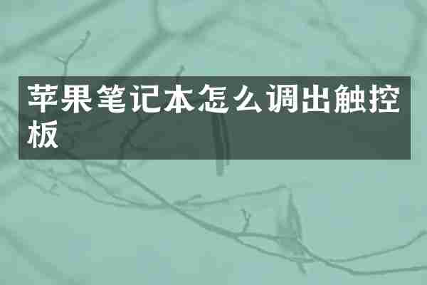 苹果笔记本怎么调出触控板