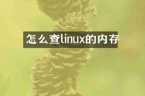 怎么查linux的内存