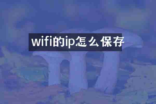 wifi的ip怎么保存