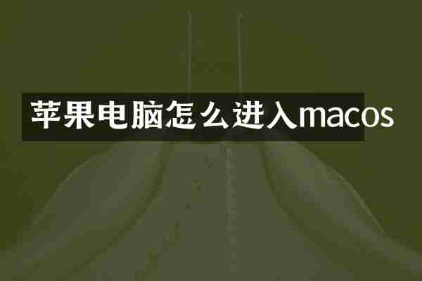 苹果电脑怎么进入macos